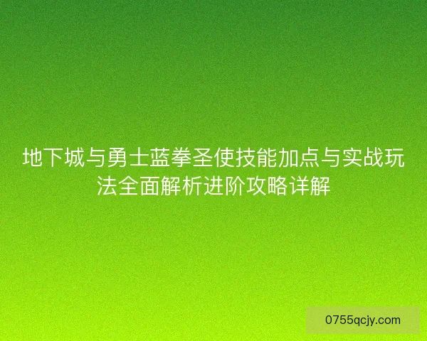 地下城与勇士蓝拳圣使技能加点与实战玩法全面解析进阶攻略详解
